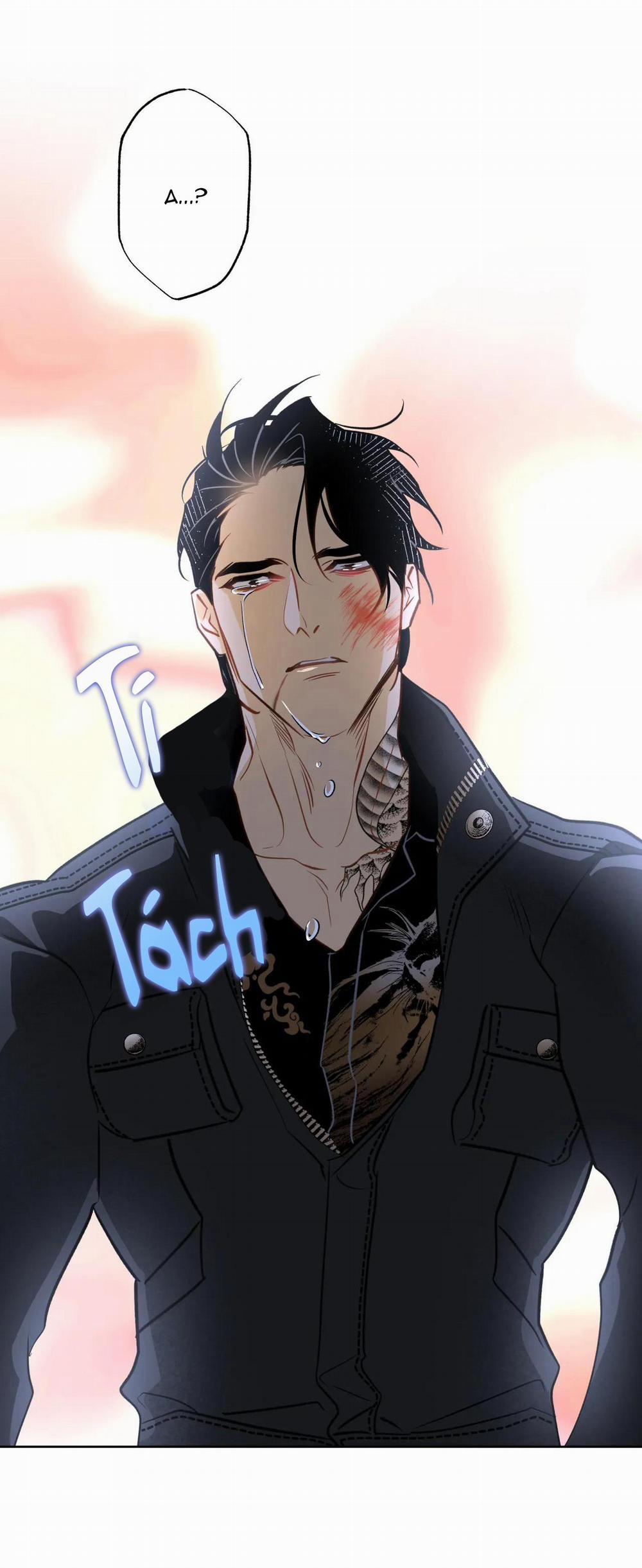 MỸ NHÂN NGƯ 9 trang 43