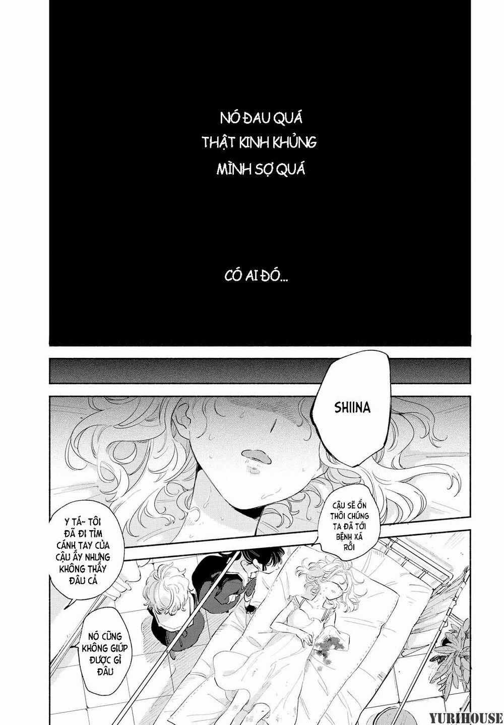 My Wish Is To Fall In Love Until You Die 4 trang 3