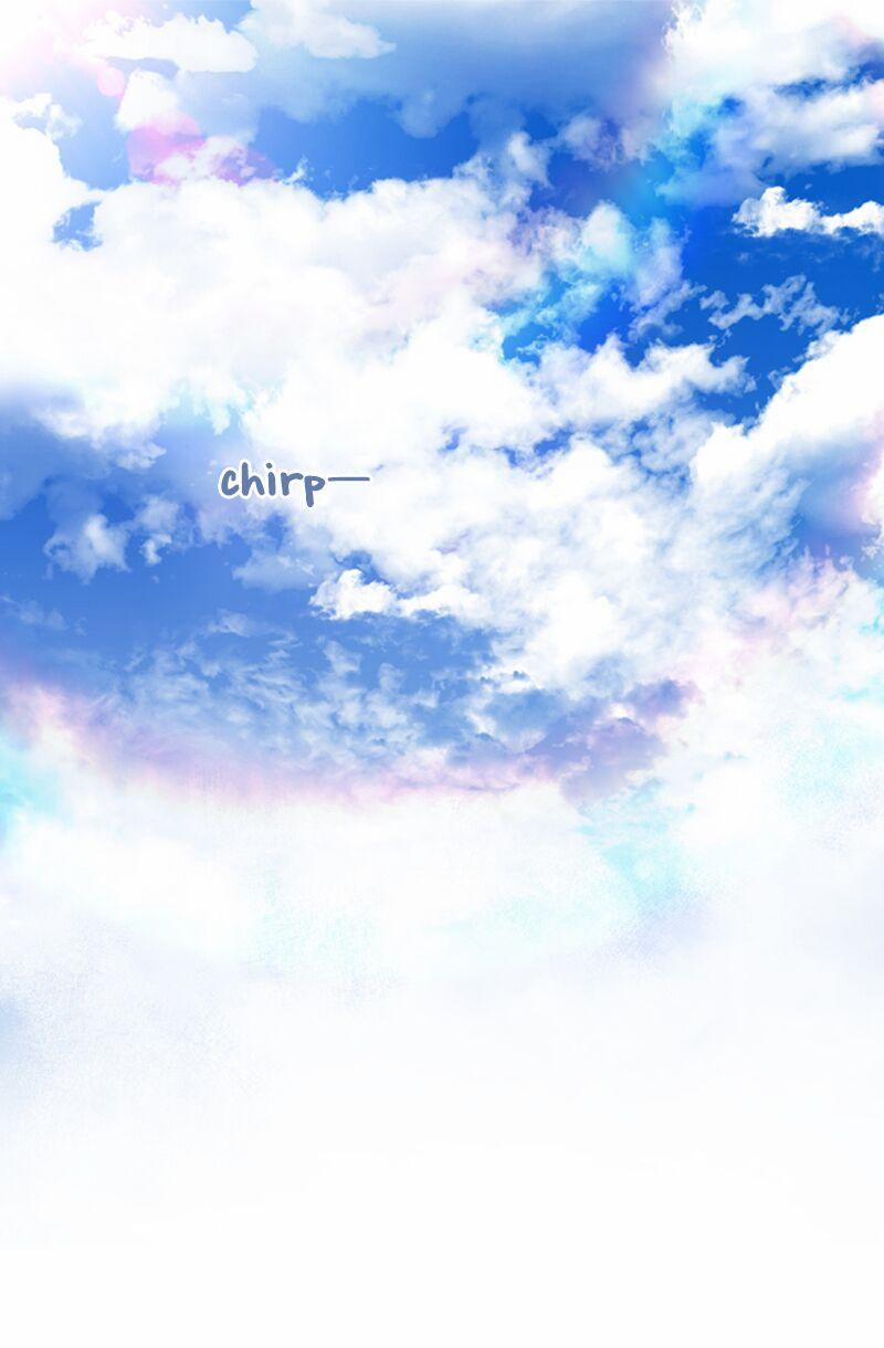 Mylord, Nữ Hoàng Của Loài Sói! 1 trang 1