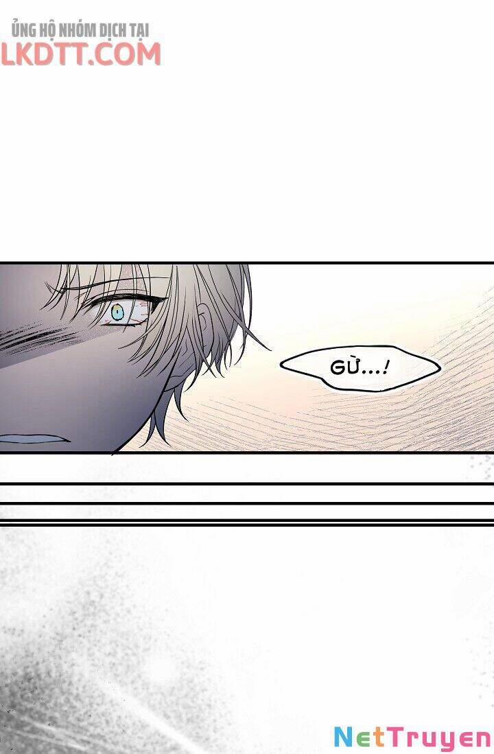 Mylord, Nữ Hoàng Của Loài Sói! 14 trang 24