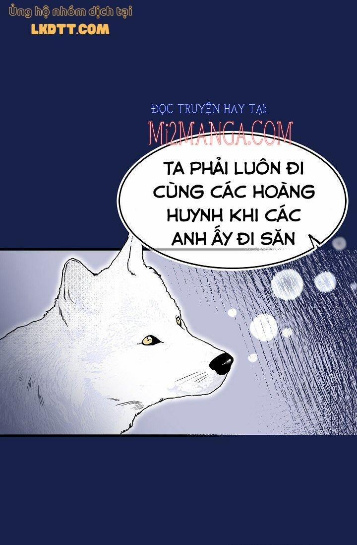 Mylord, Nữ Hoàng Của Loài Sói! 16.5 trang 1