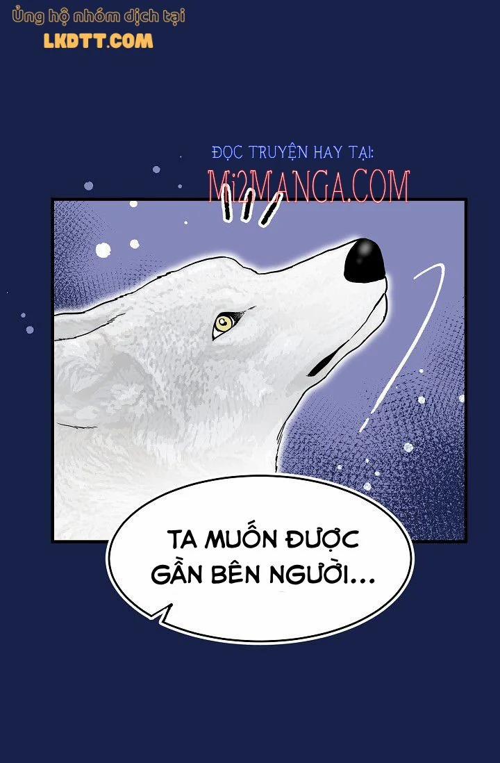Mylord, Nữ Hoàng Của Loài Sói! 16 trang 15