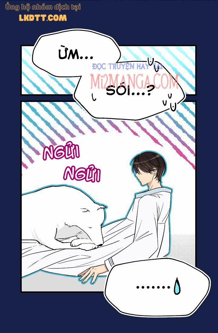 Mylord, Nữ Hoàng Của Loài Sói! 16 trang 4