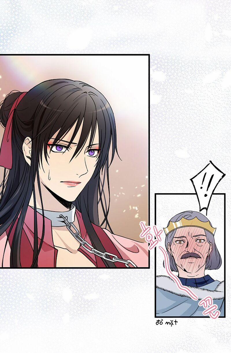 Mylord, Nữ Hoàng Của Loài Sói! 2 trang 25