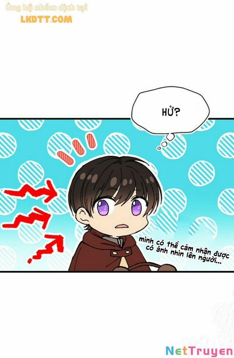 Mylord, Nữ Hoàng Của Loài Sói! 20 trang 11