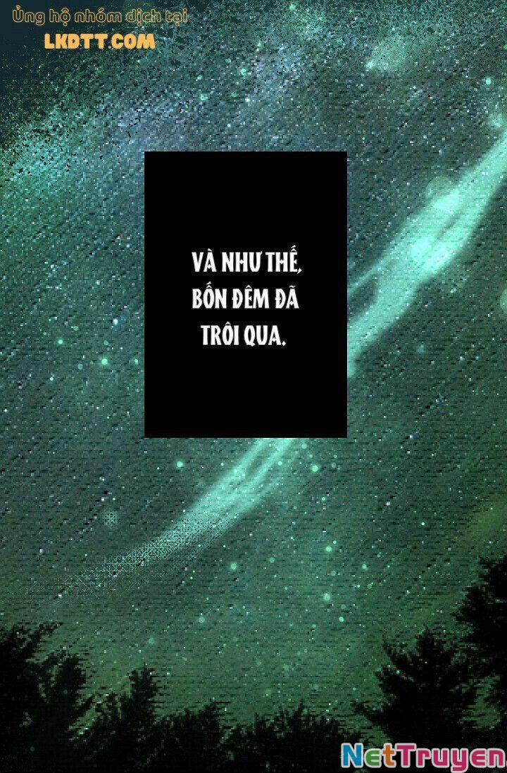 Mylord, Nữ Hoàng Của Loài Sói! 20 trang 3