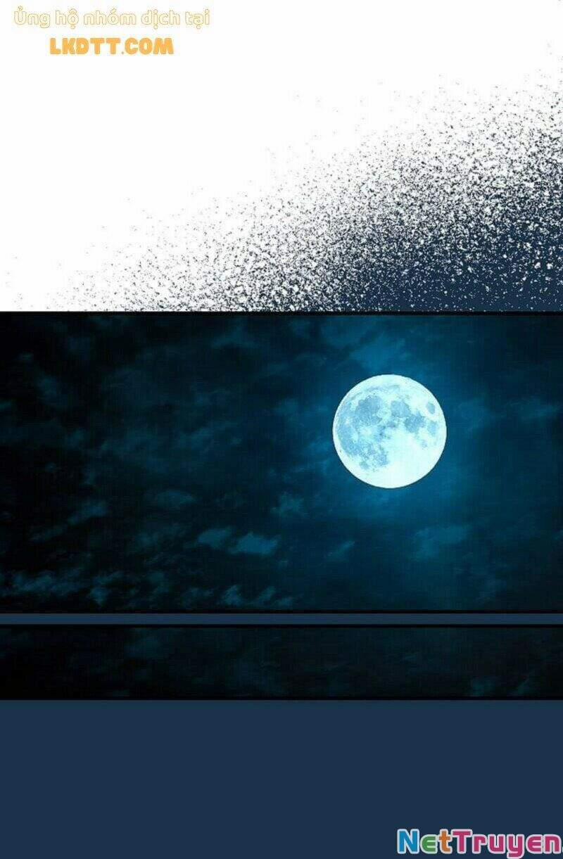 Mylord, Nữ Hoàng Của Loài Sói! 21 trang 12