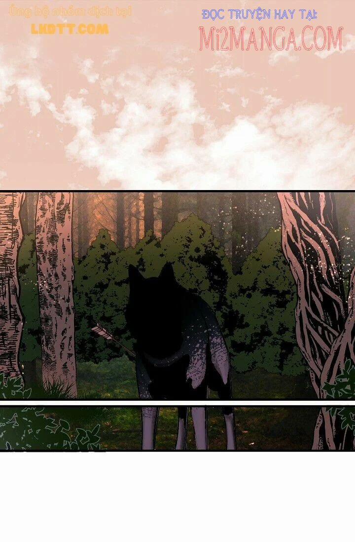 Mylord, Nữ Hoàng Của Loài Sói! 22.5 trang 6