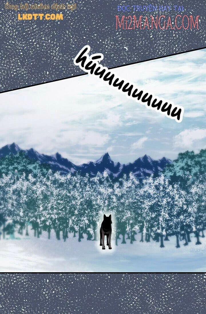 Mylord, Nữ Hoàng Của Loài Sói! 22 trang 12