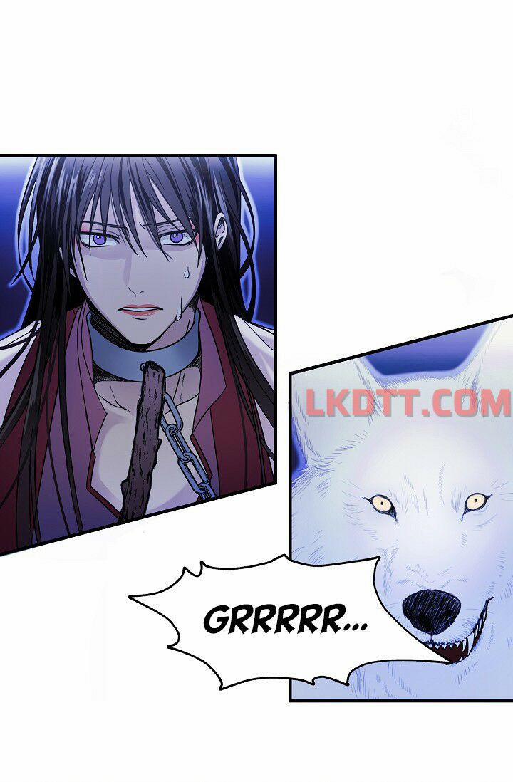 Mylord, Nữ Hoàng Của Loài Sói! 3 trang 2