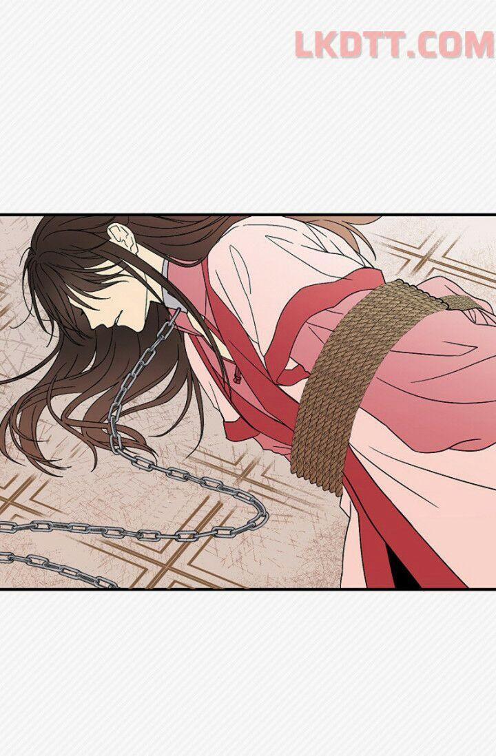 Mylord, Nữ Hoàng Của Loài Sói! 4 trang 1