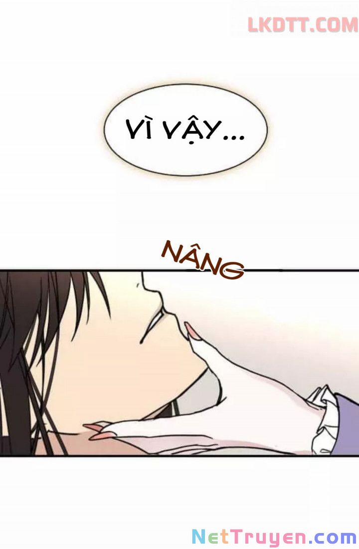 Mylord, Nữ Hoàng Của Loài Sói! 6 trang 11