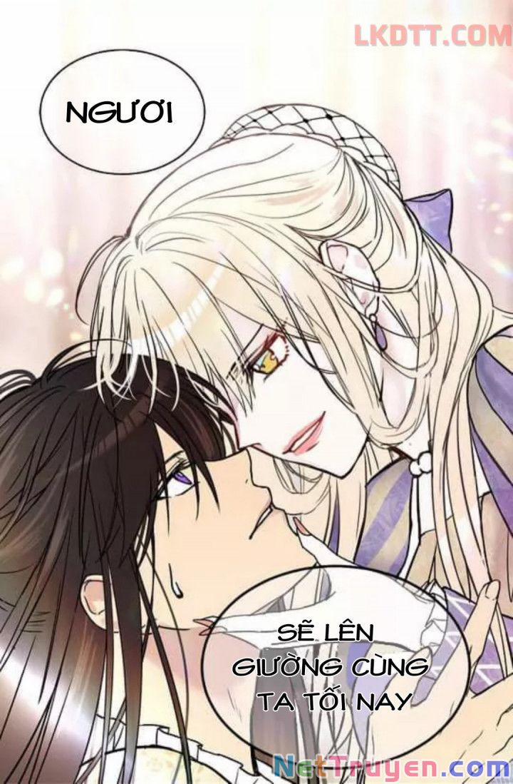 Mylord, Nữ Hoàng Của Loài Sói! 6 trang 12