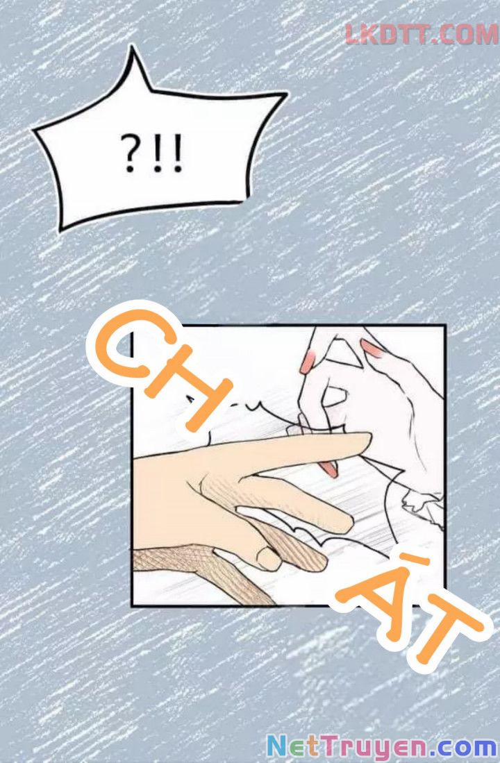 Mylord, Nữ Hoàng Của Loài Sói! 6 trang 2