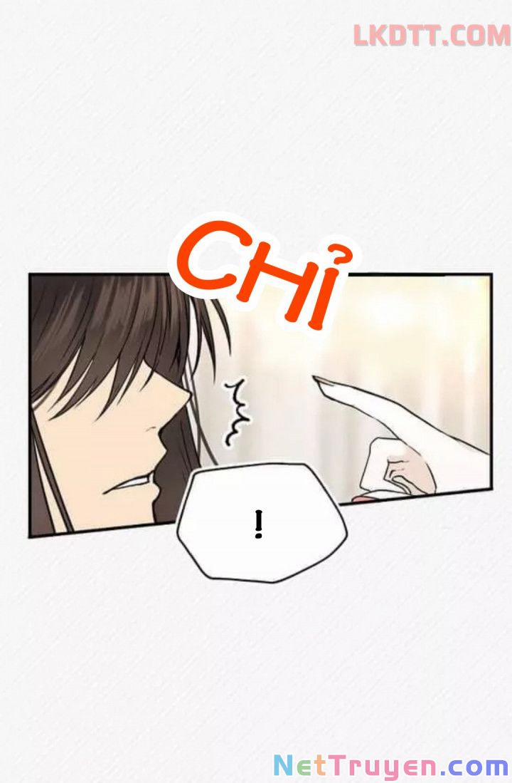 Mylord, Nữ Hoàng Của Loài Sói! 6 trang 5