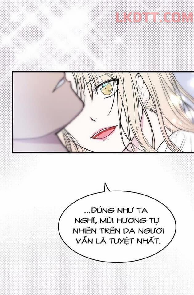 Mylord, Nữ Hoàng Của Loài Sói! 9 trang 7