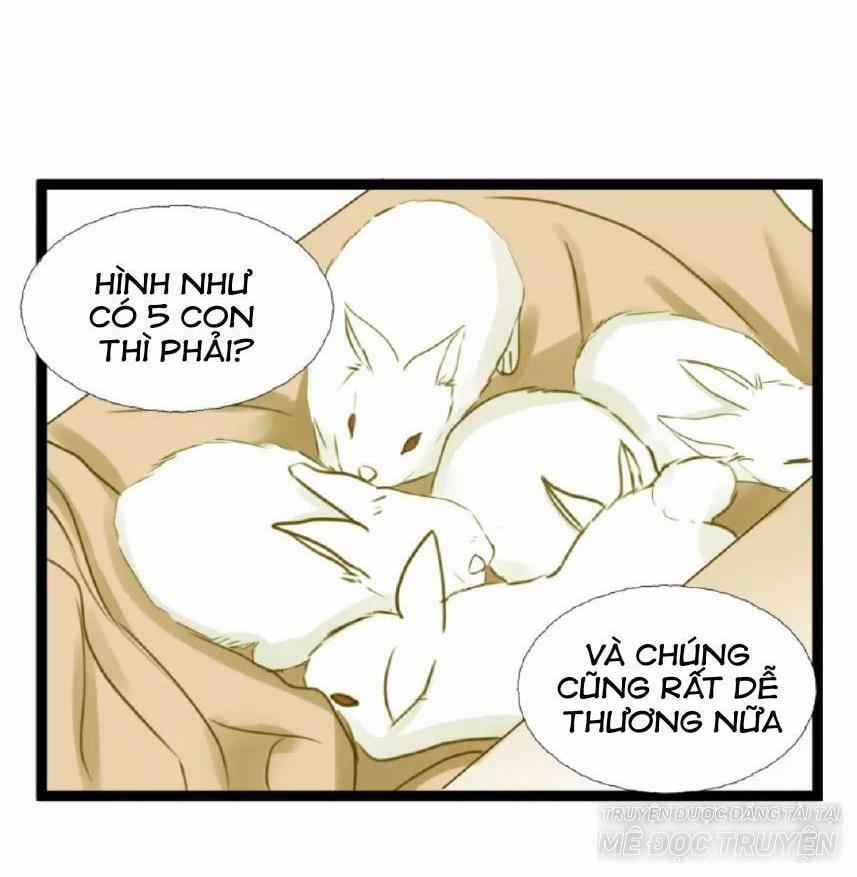 Nắm Bắt Mối Quan Hệ 7 trang 17