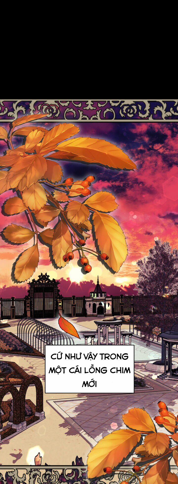 Nam Chính Là Chồng Cũ Của Tôi 17 trang 8