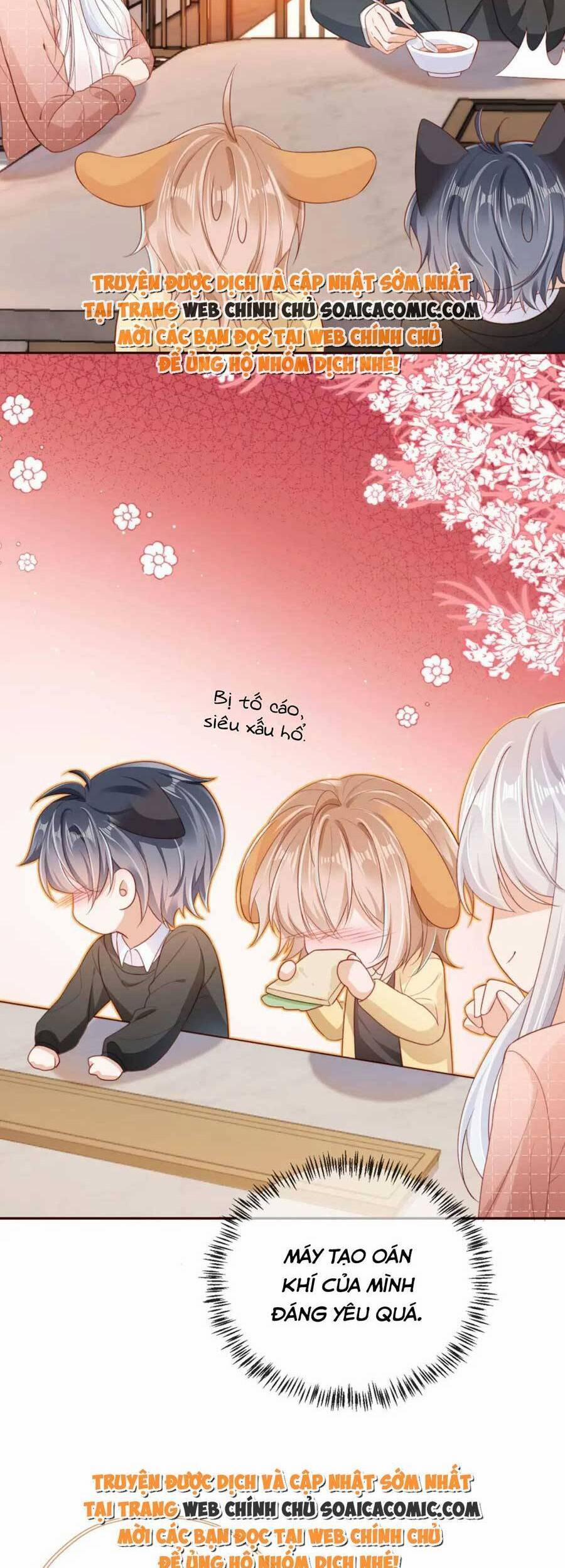 Nam Chính, Phản Diện Chị Đây Cân Tất ?! 38 trang 19