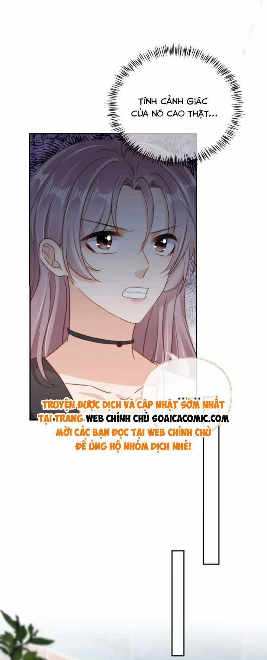 Nam Chính, Phản Diện Chị Đây Cân Tất ?! 96 trang 12