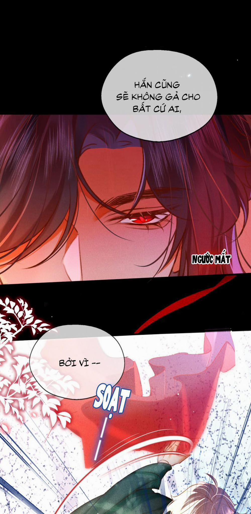 Nam Chủ Vì Sao Quyến Rũ Ta 12 trang 24