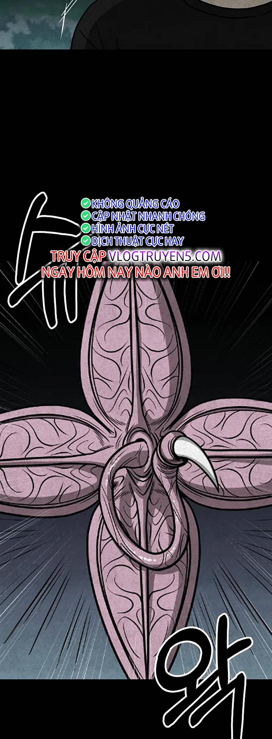 Năm Đường Xích Đạo 11 trang 52