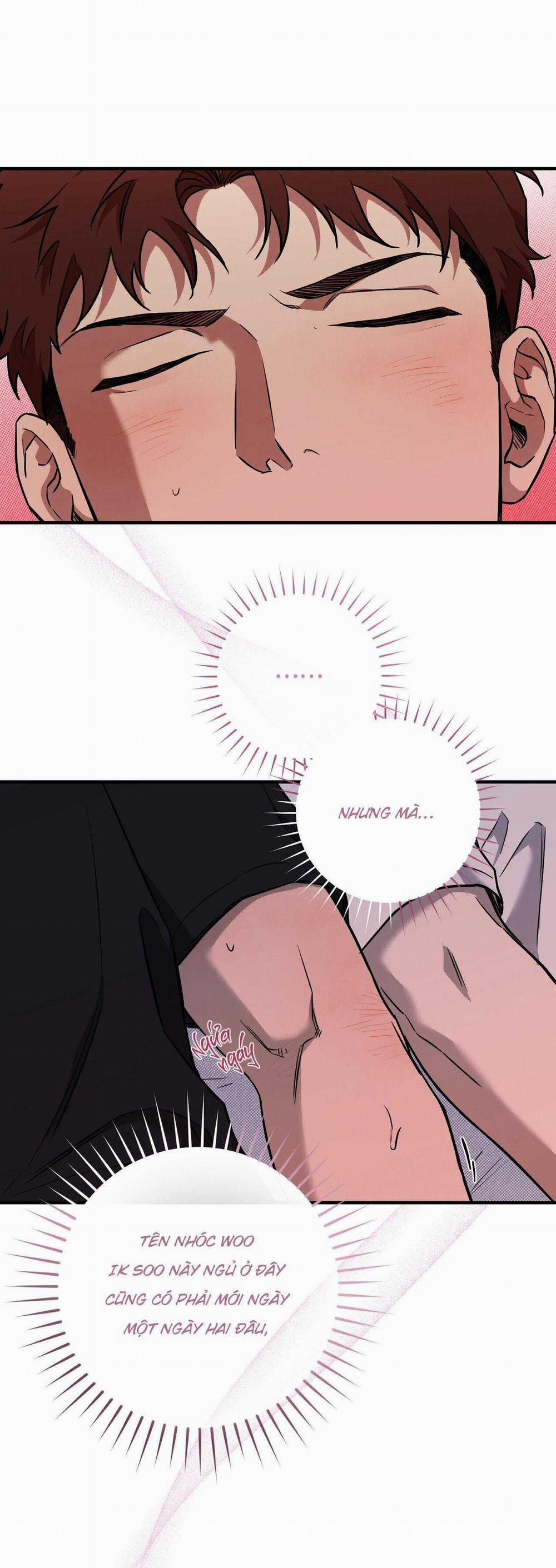 Năm Nay Sẽ Khác 10 trang 19