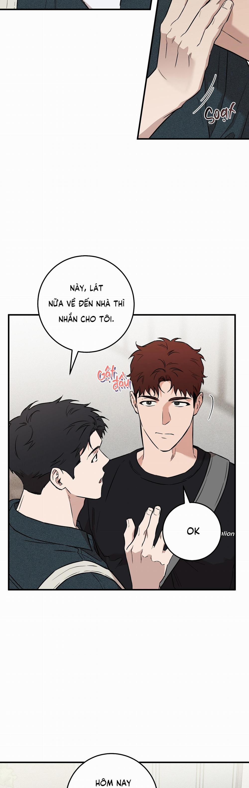 Năm Nay Sẽ Khác 11 trang 3