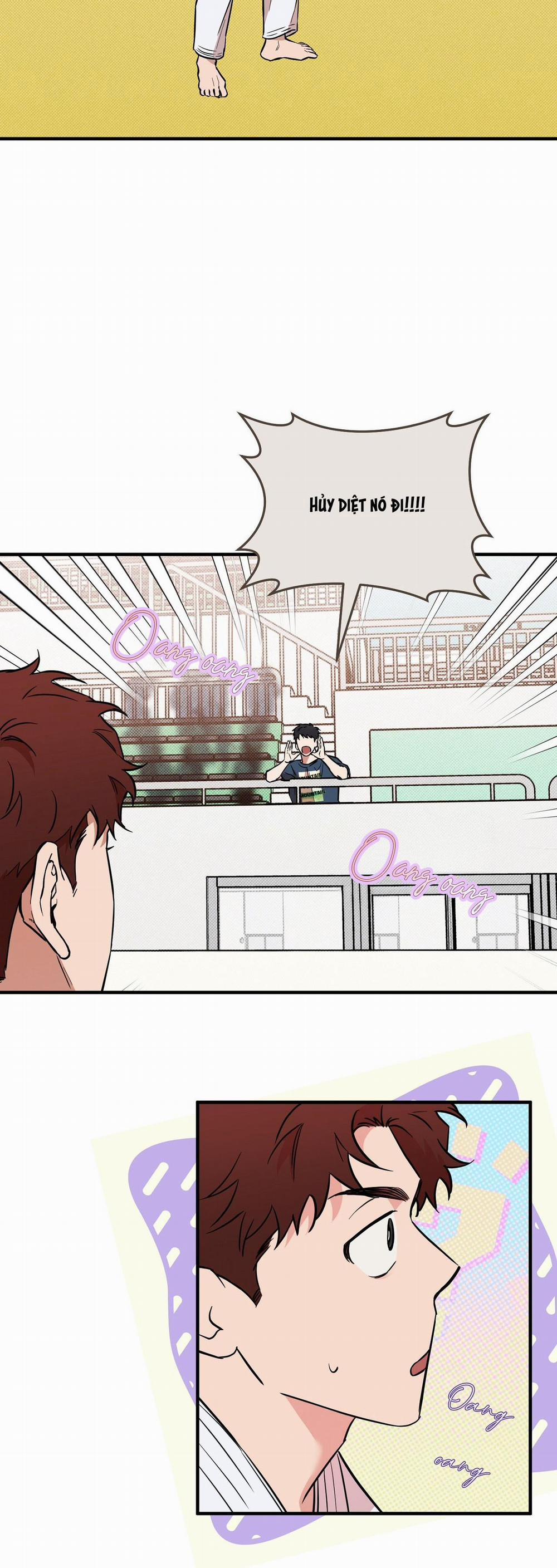 Năm Nay Sẽ Khác 14 trang 11