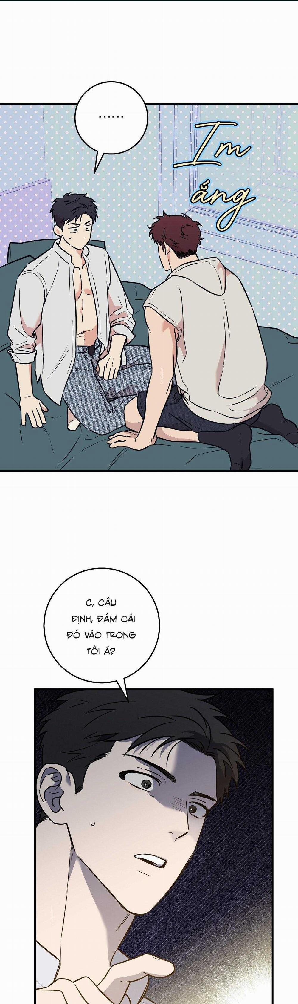 Năm Nay Sẽ Khác 20 trang 0