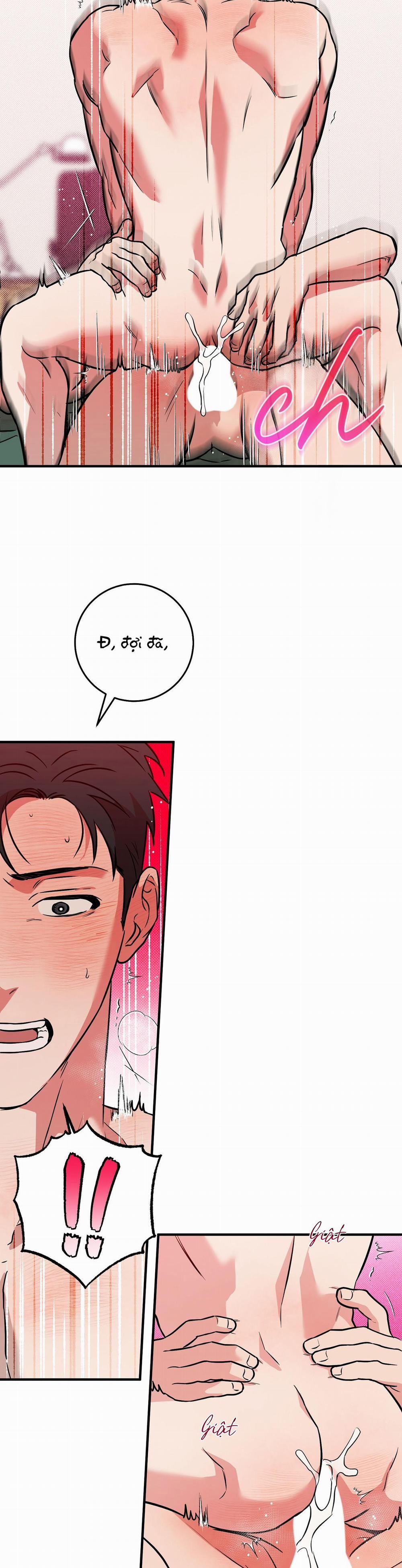 Năm Nay Sẽ Khác 21 END 0 trang 3