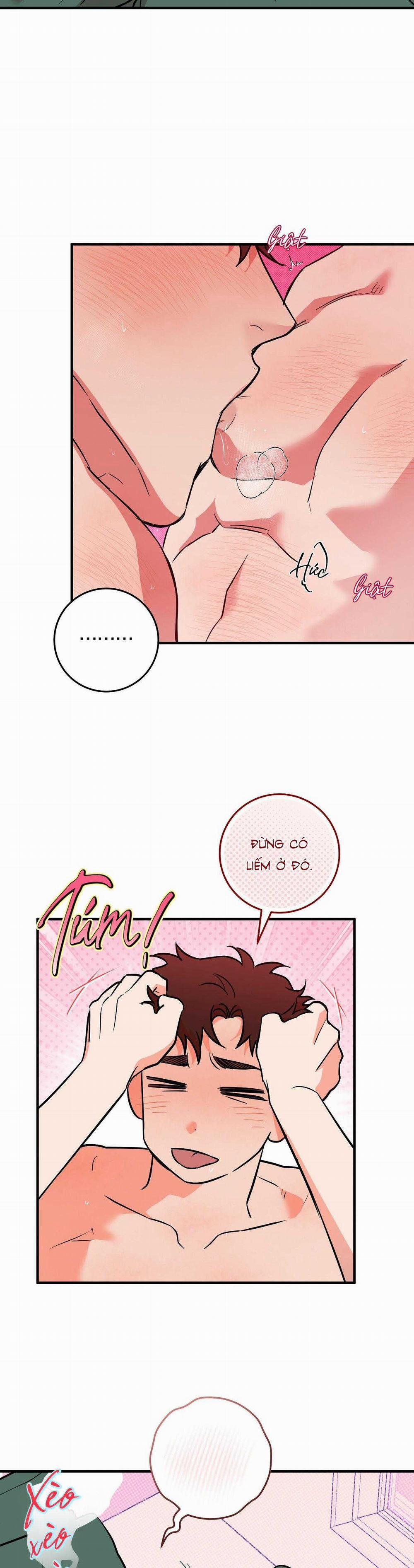 Năm Nay Sẽ Khác 21 trang 8