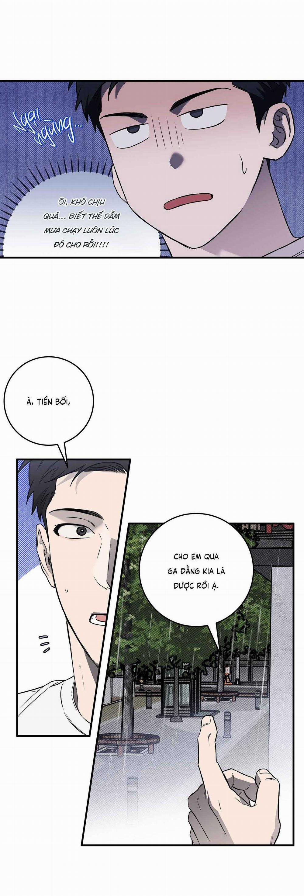 Năm Nay Sẽ Khác 4 trang 19