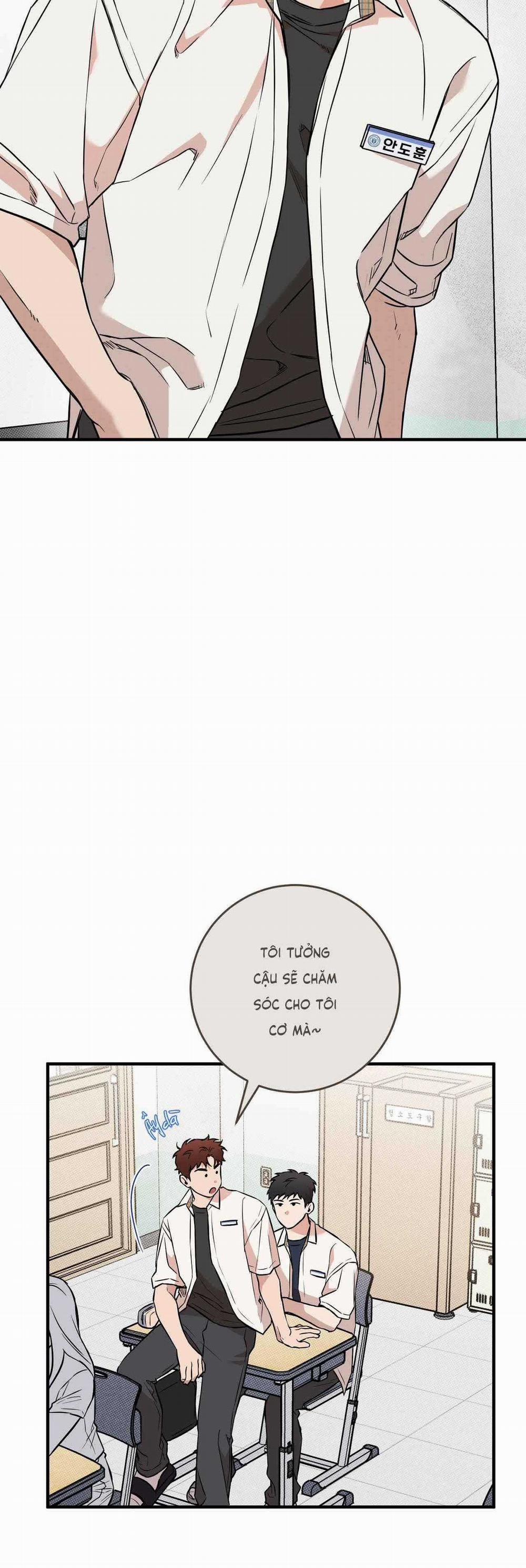 Năm Nay Sẽ Khác 4 trang 4