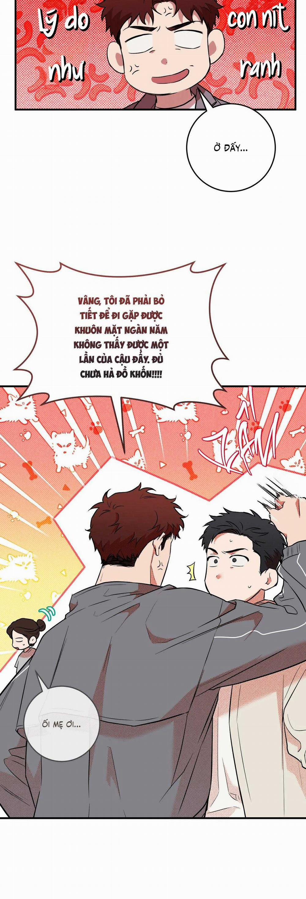 Năm Nay Sẽ Khác 6 trang 16