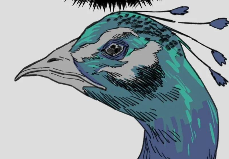 Nam Sinh Trung Học 18 trang 164