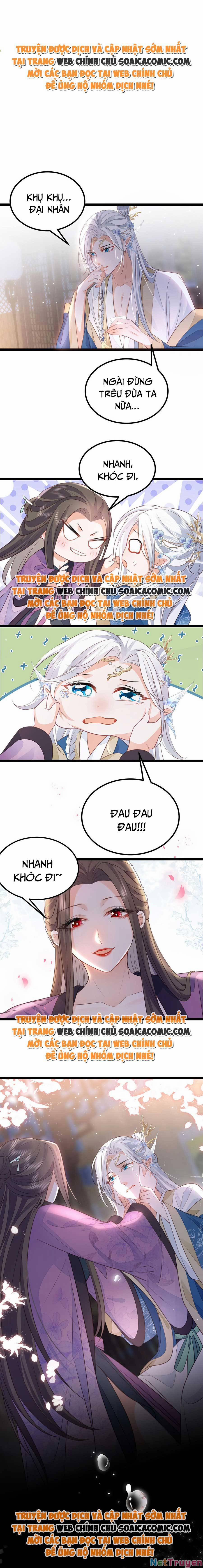 Nam Sủng Ta Nuôi Lại Cắn Ta 11 trang 0