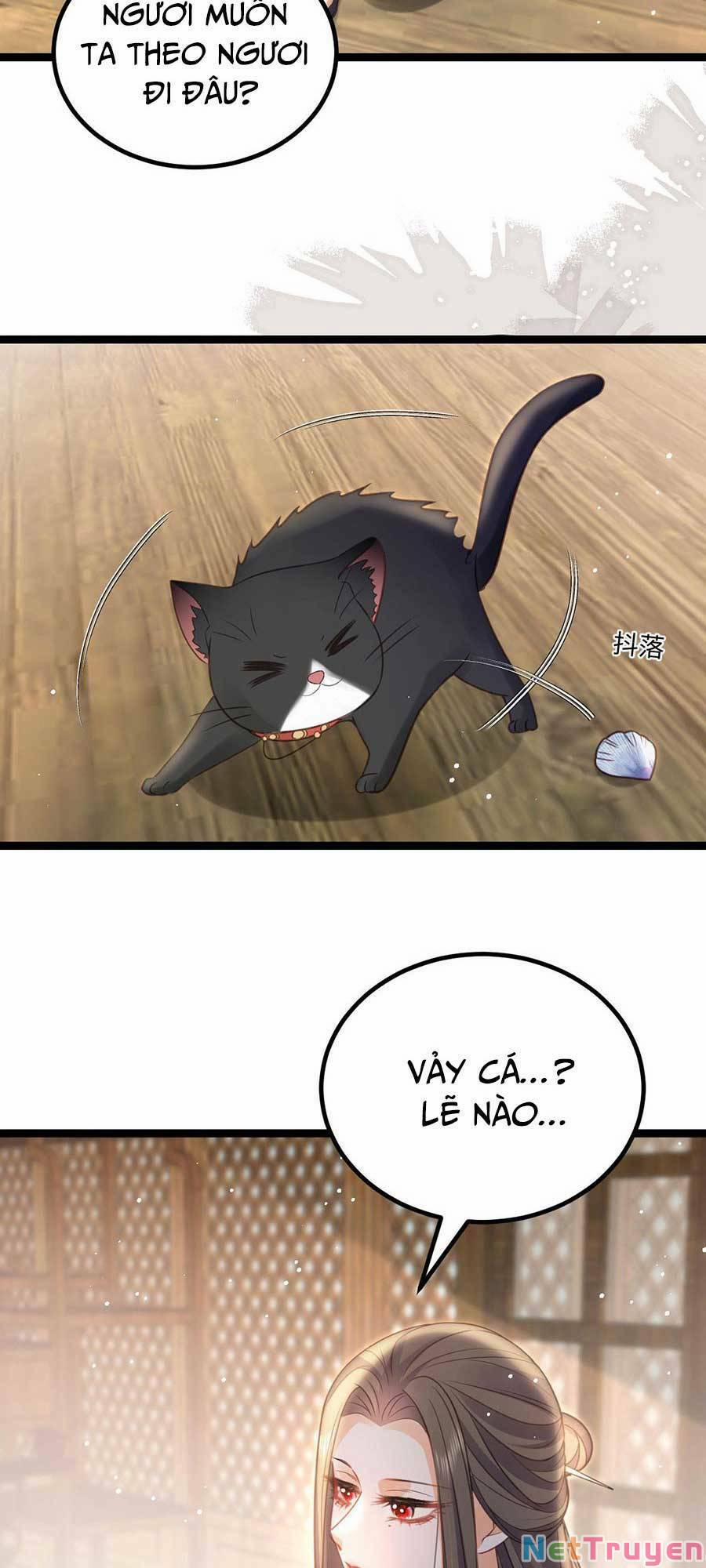 Nam Sủng Ta Nuôi Lại Cắn Ta 18 trang 2