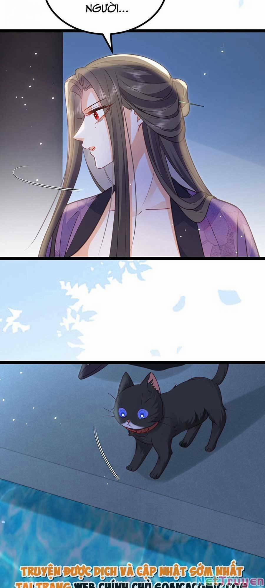 Nam Sủng Ta Nuôi Lại Cắn Ta 18 trang 6