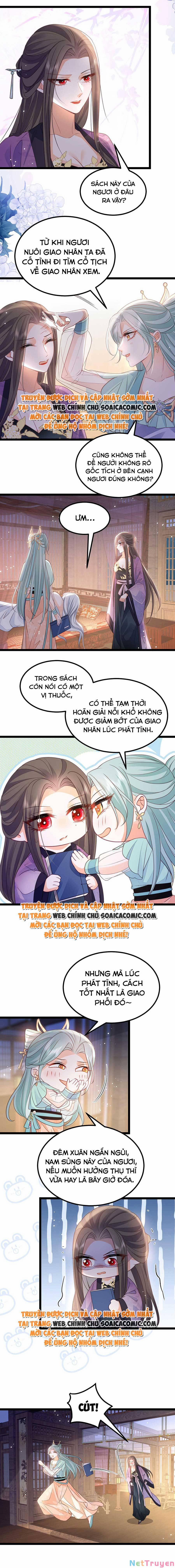 Nam Sủng Ta Nuôi Lại Cắn Ta 19 trang 1