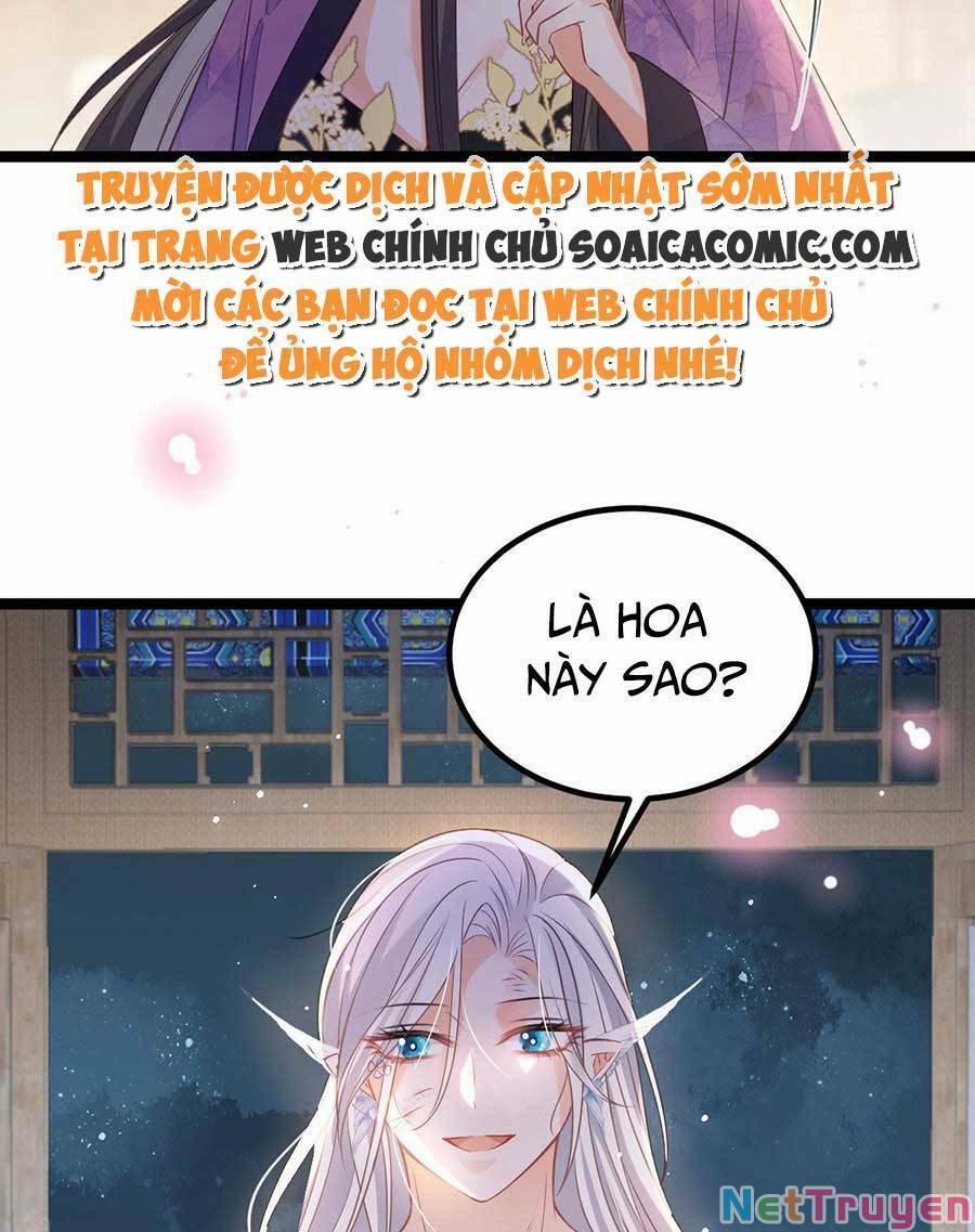 Nam Sủng Ta Nuôi Lại Cắn Ta 20 trang 13