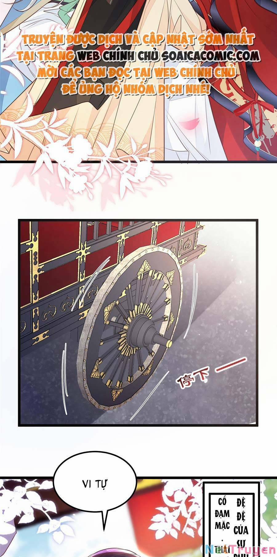 Nam Sủng Ta Nuôi Lại Cắn Ta 6 trang 11