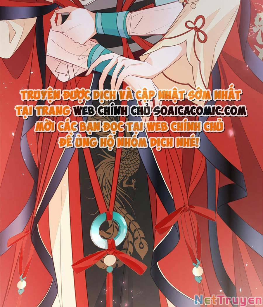 Nam Sủng Ta Nuôi Lại Cắn Ta 8 trang 11