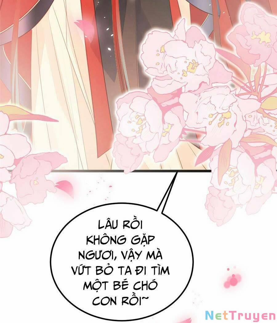 Nam Sủng Ta Nuôi Lại Cắn Ta 8 trang 12