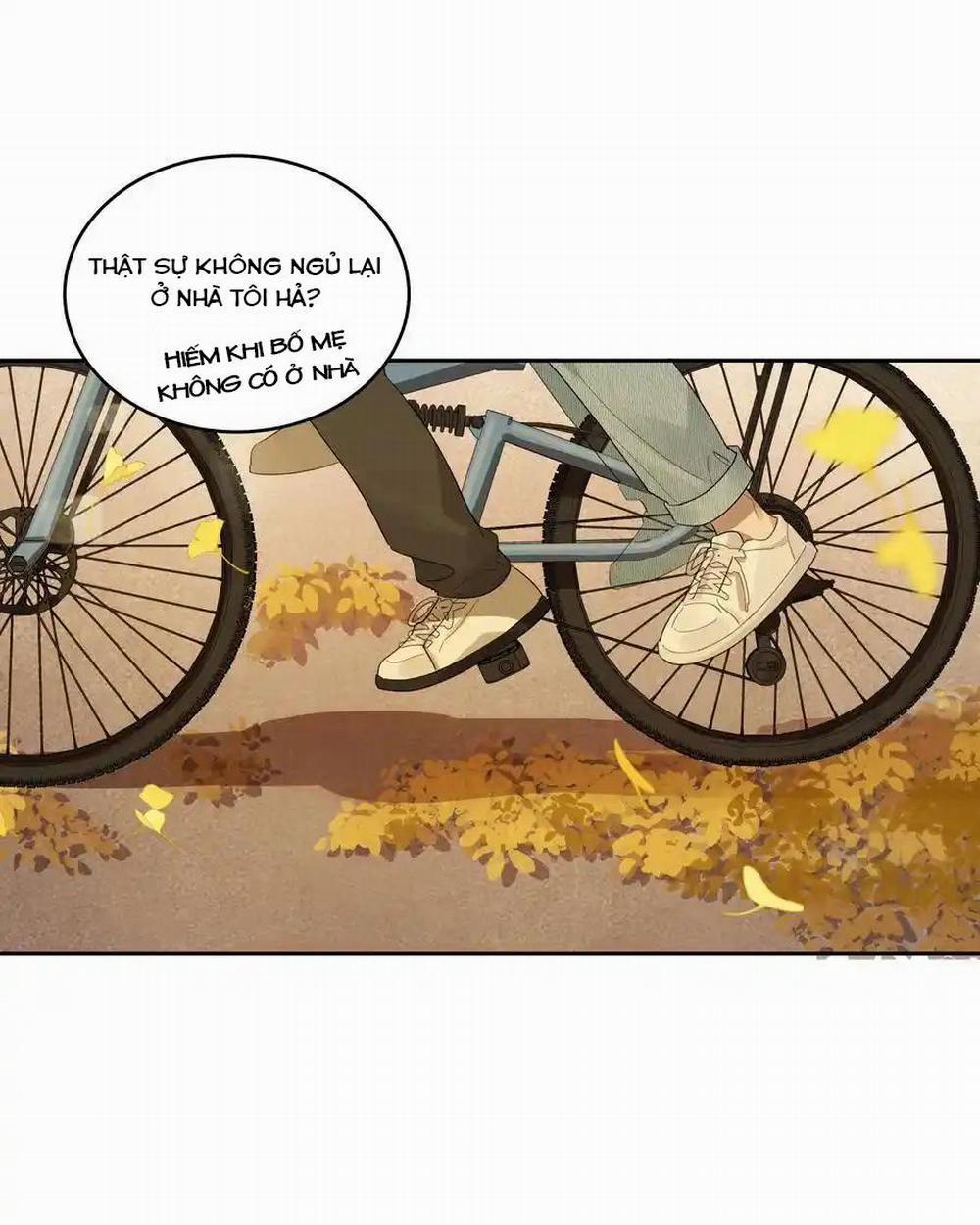 Năm Tháng Qua 31 trang 13