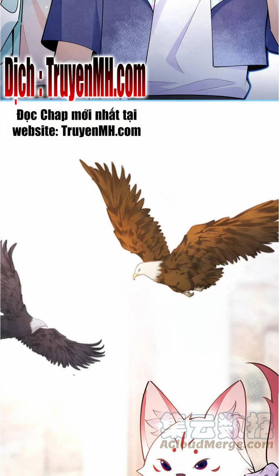 Nam Thành Chờ Trăng Về 271 trang 12