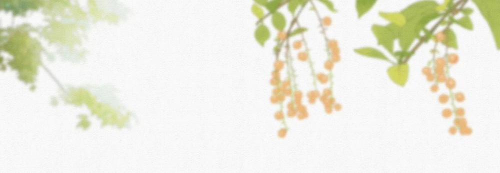 Nam Thê Vô Dụng Sống Lại Rồi!!! 67 trang 23