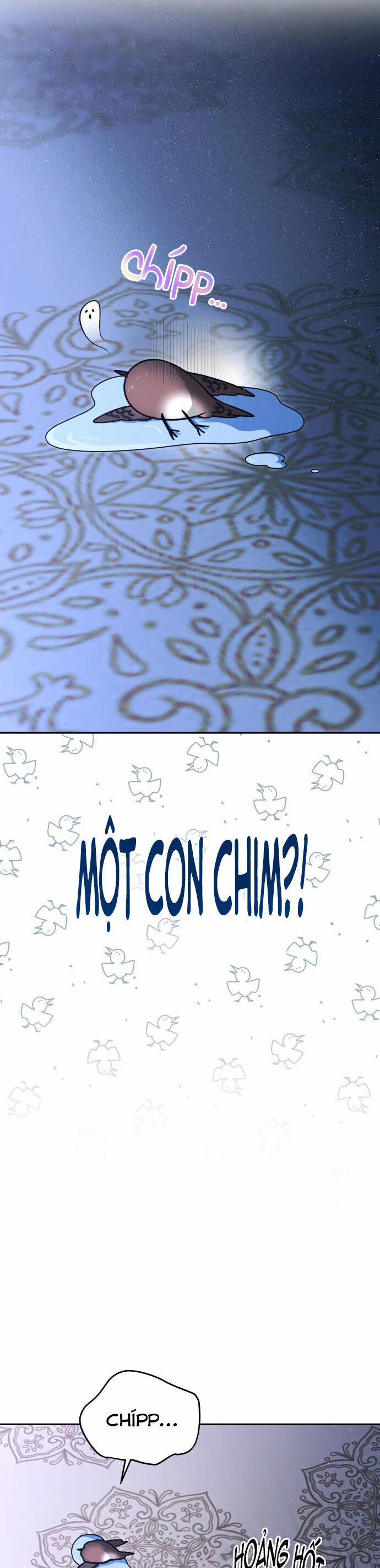 Nam Thứ Đình Công Thì Phải Làm Sao?! 50 trang 1