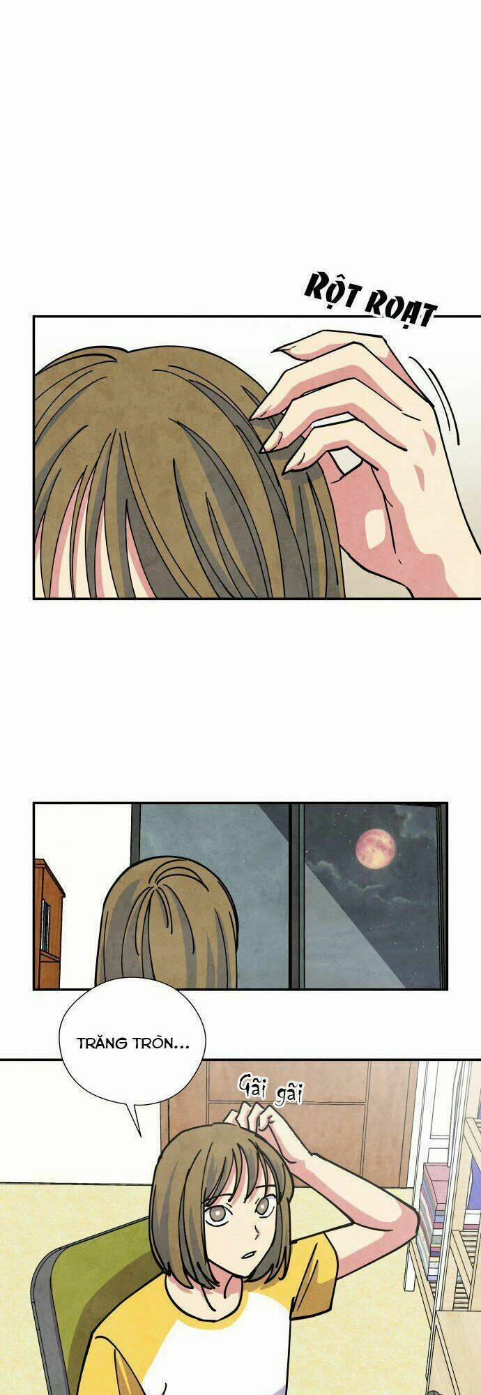 Nàng Chó Sói Và Chiếc Khăn Choàng Đỏ 20 trang 1