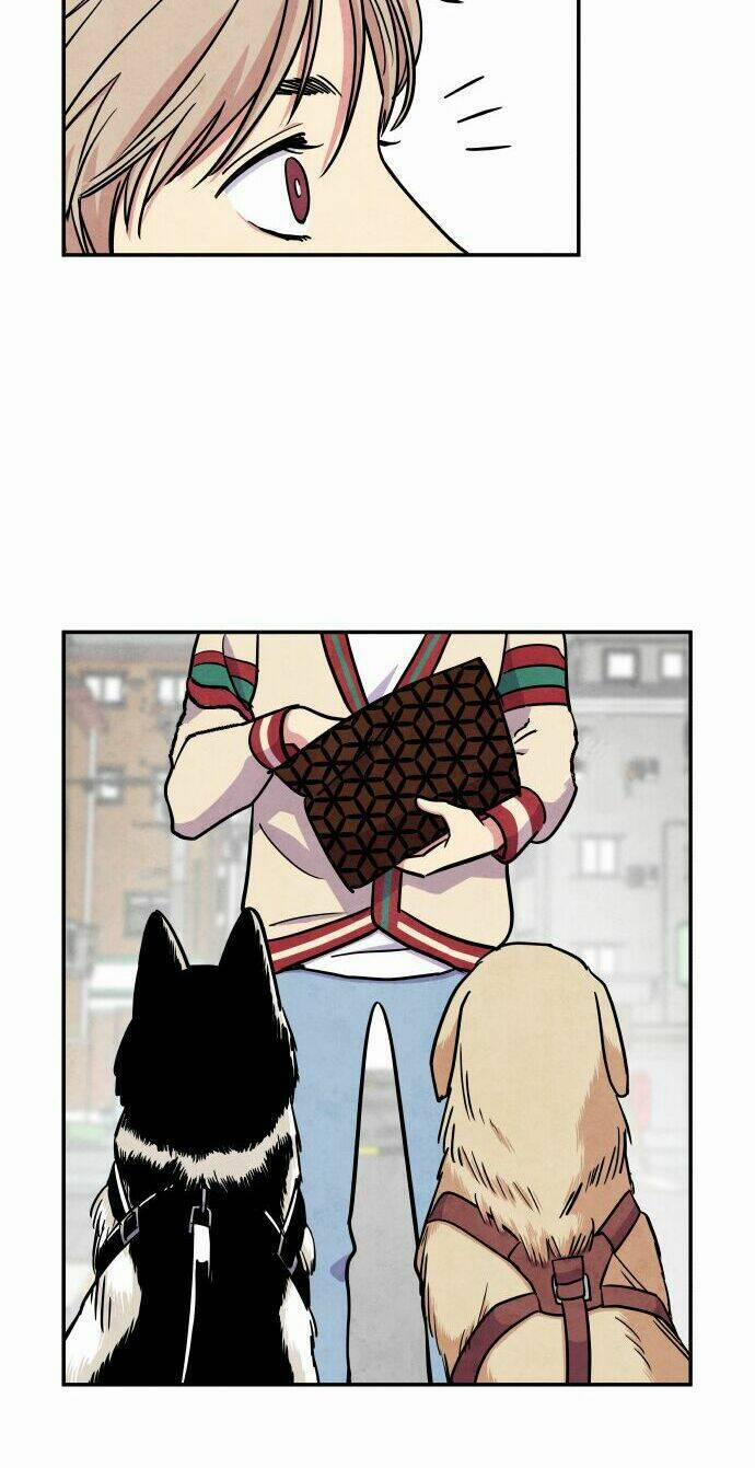 Nàng Chó Sói Và Chiếc Khăn Choàng Đỏ 28 trang 33